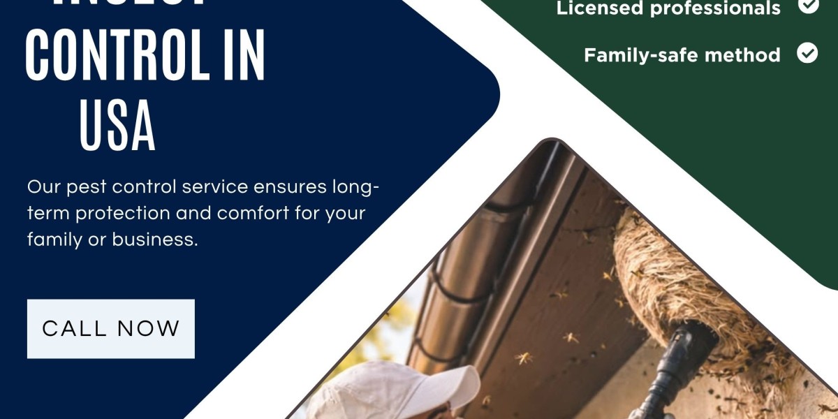 Wasp Nest Removal Services in USA